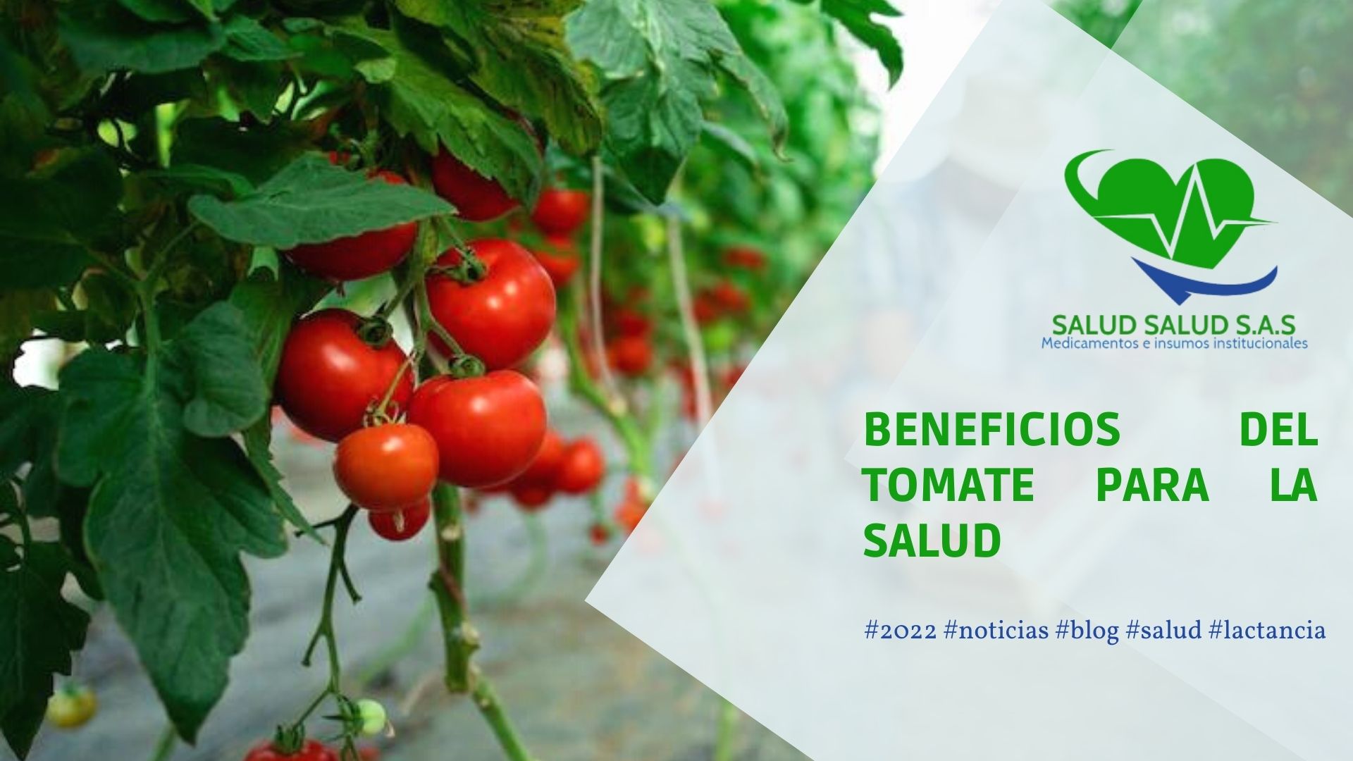 En este momento estás viendo Beneficios del Tomate para la Salud